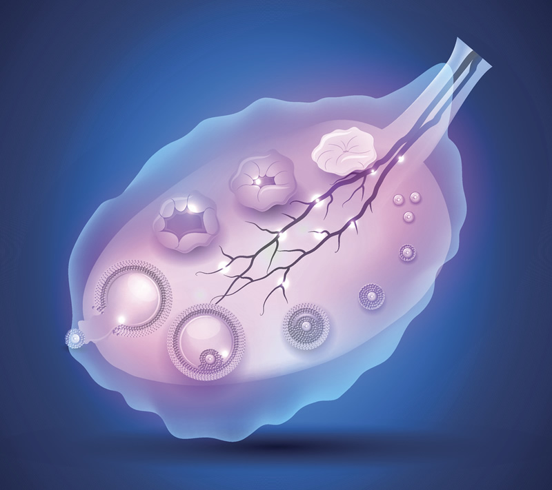 试管助孕全解析-从降调到术后验孕,如何避免生化妊娠？
